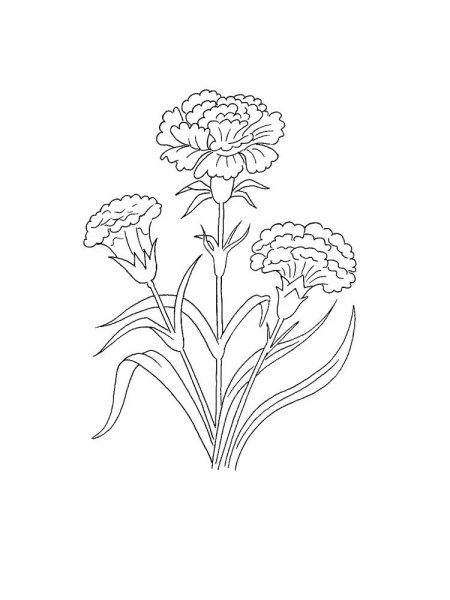 Гвоздики для раскрашивания