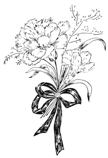 Гвоздики букет раскраска