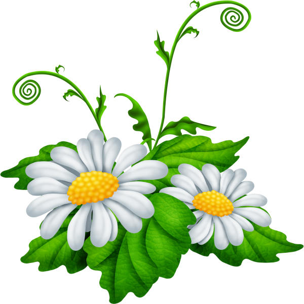 Цветы мультяшные