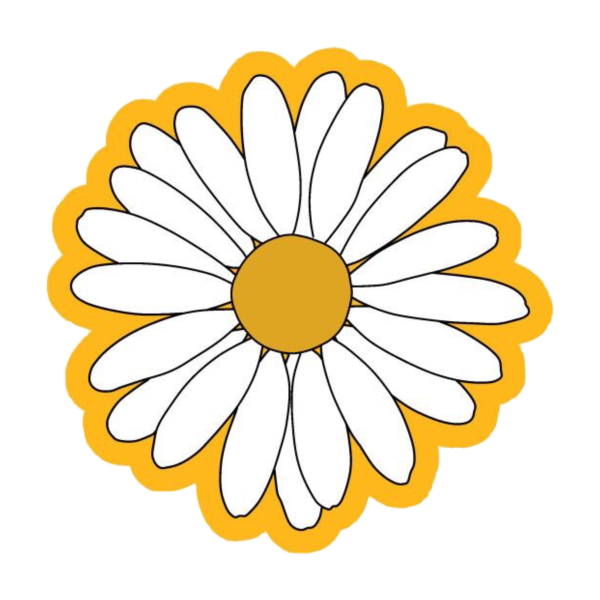 Ромашки картинки