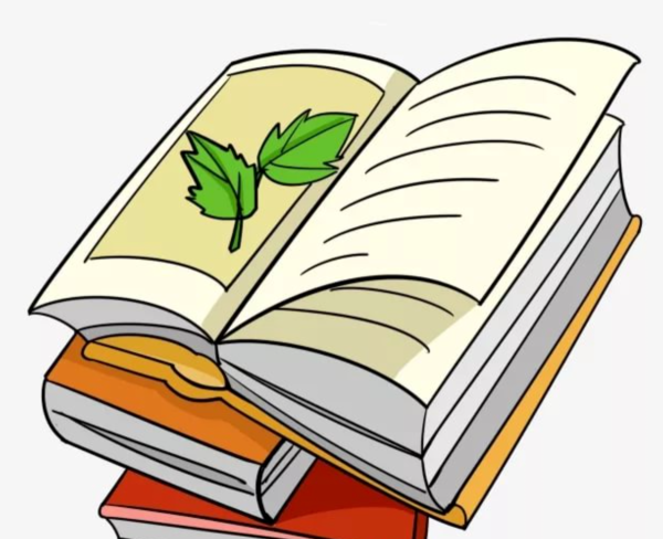 Книга рисунок