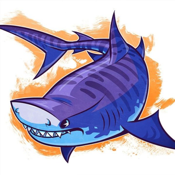 Нарисовать тигровую акулу