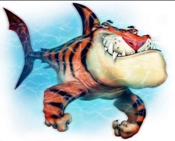 Акула раскраска для детей