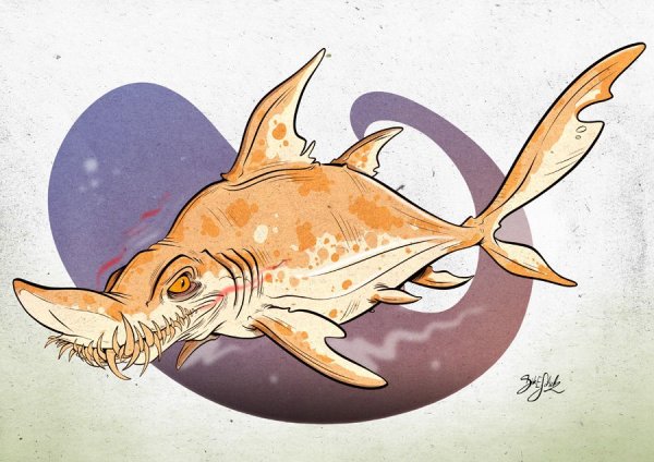 Тигровая акула раскраска