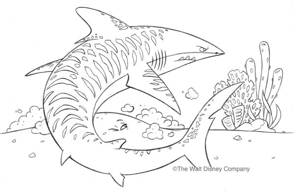 Тигровая акула карандашом