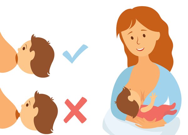 Грудное вскармливание вектор