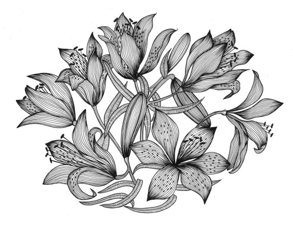 Цветы Графика