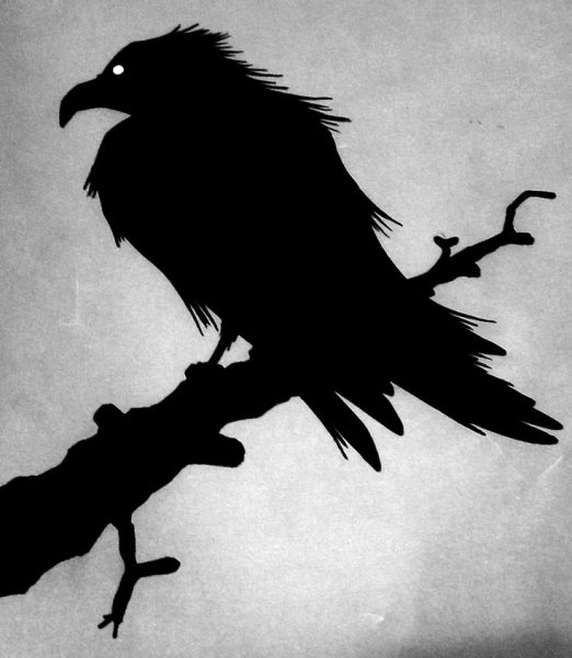 Ворон вагабунд