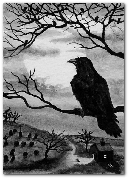 Ворон на ветке