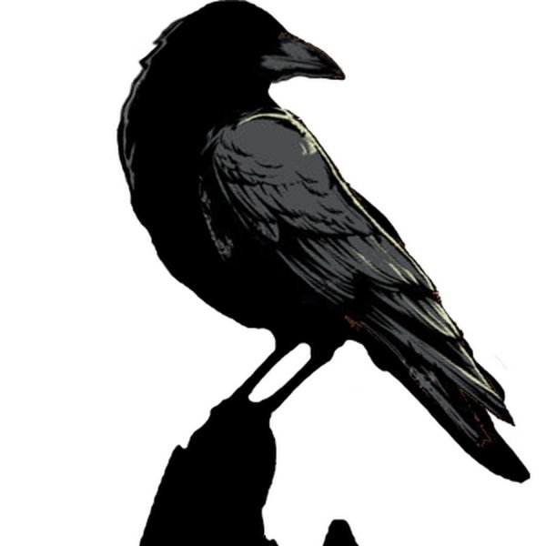 Силуэт ворона