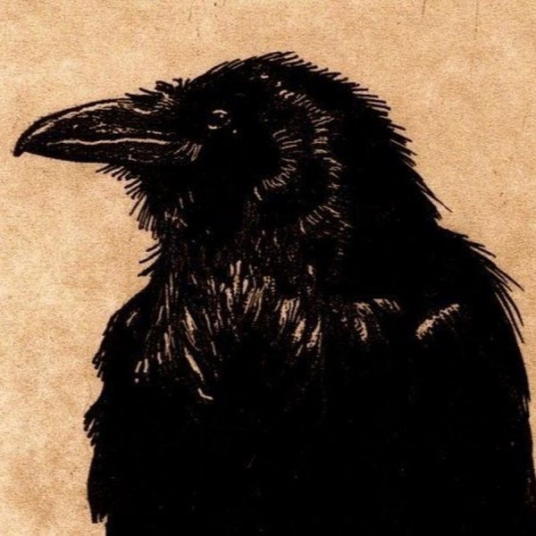 Вороны Графика