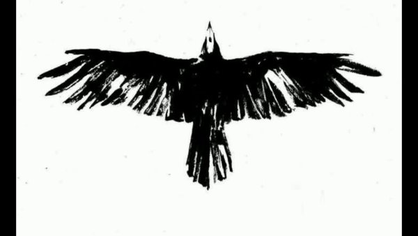 Ворон летит