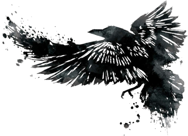 Ворон эскиз