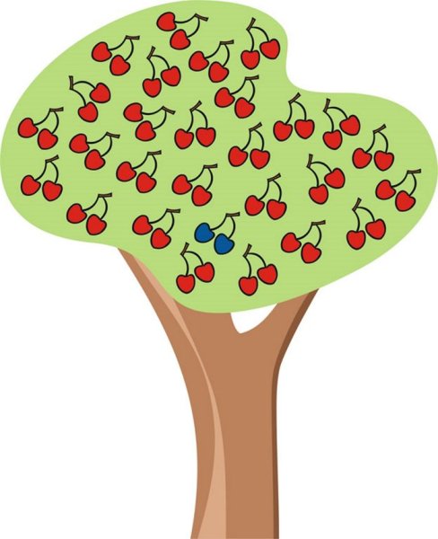 Дерево вишня для детей