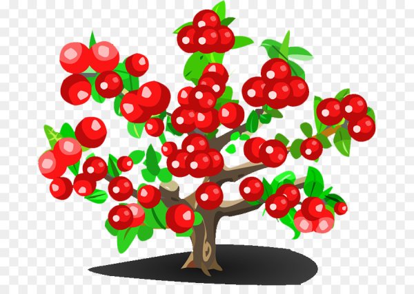 Дерево на прозрачном фоне