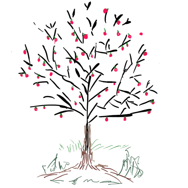 Нарисовать дерево вишни
