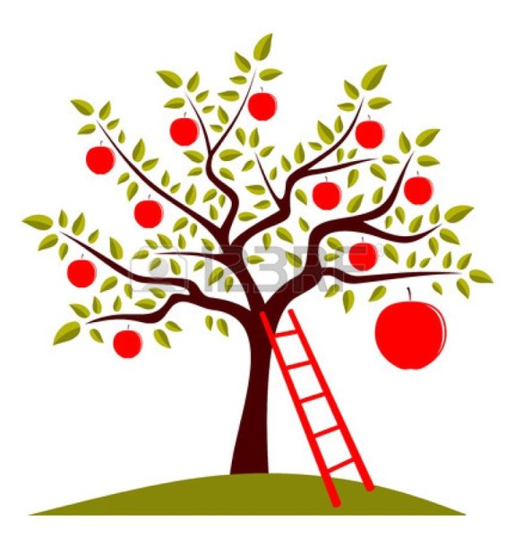 Дерево вишня для детей