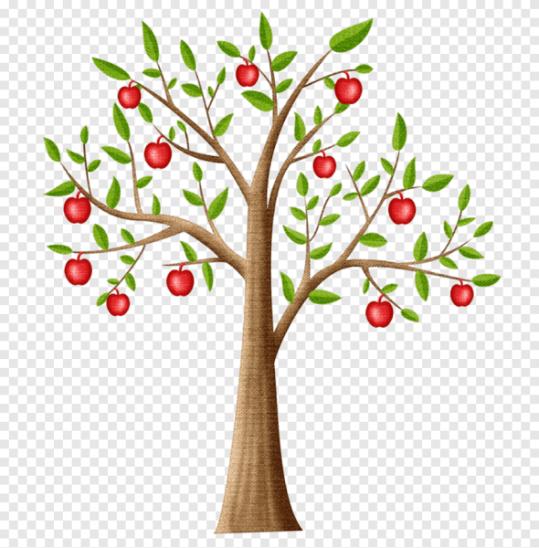 Яблонька дерево