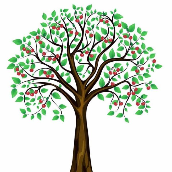 Вишнёвое дерево нарисовать