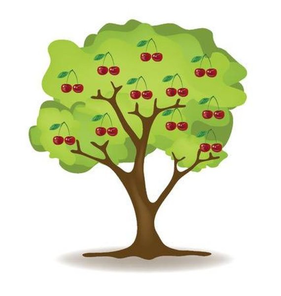 Вишня дерево для малышей
