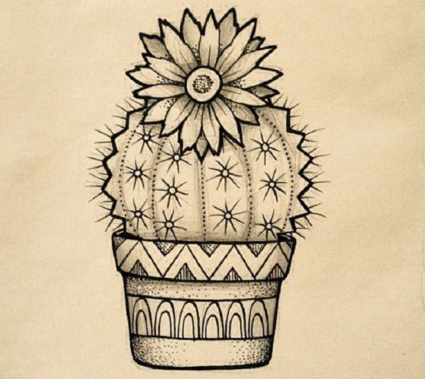 Кактус карандашом
