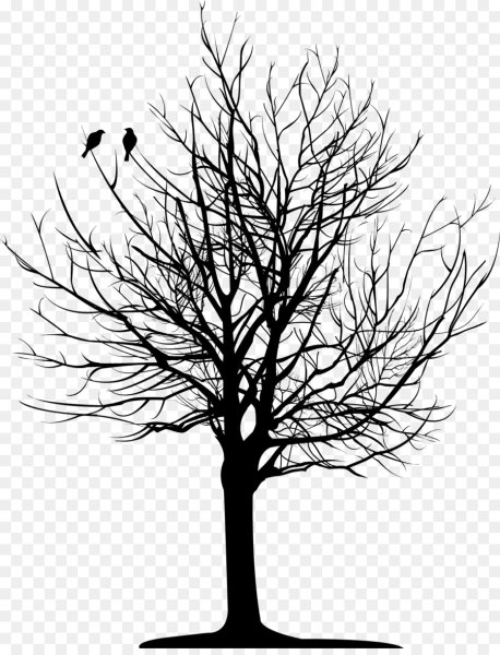 Силуэт дерева