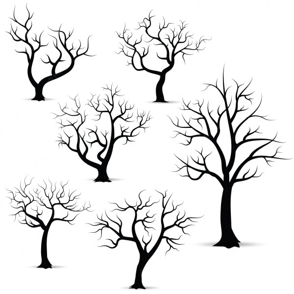 Силуэт дерева без листьев