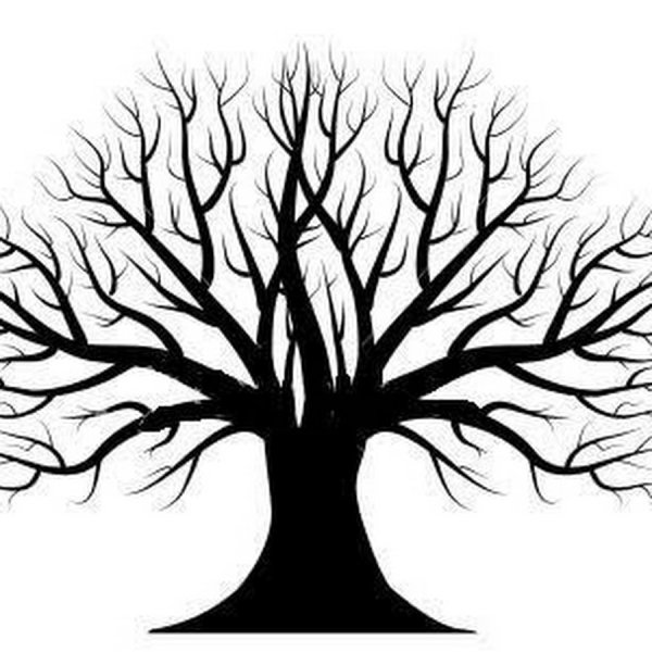 Тонкое дерево