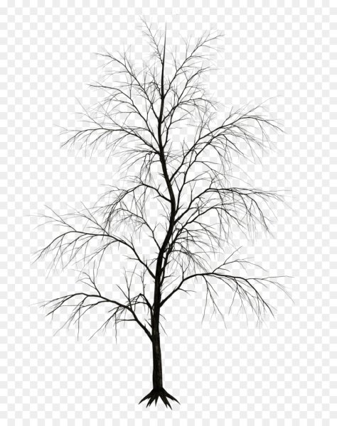 Дерево без листьев