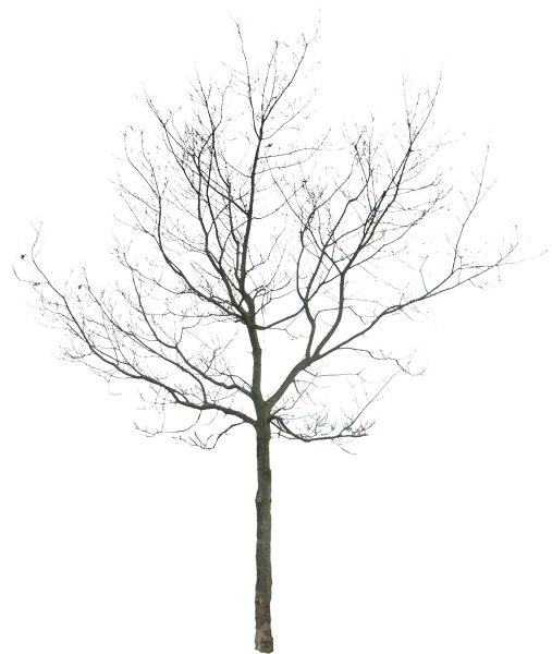 Дерево 3д ручкой