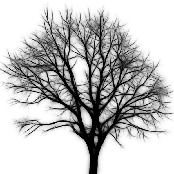Голое дерево