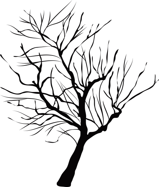 Дерево без листьев