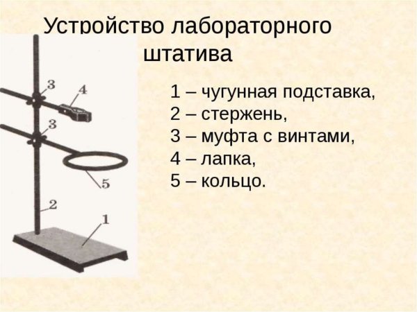 Строение лабораторного штатива