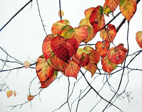 Осенние листья вектор