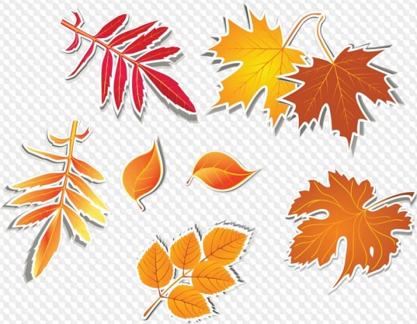 Падающие листья