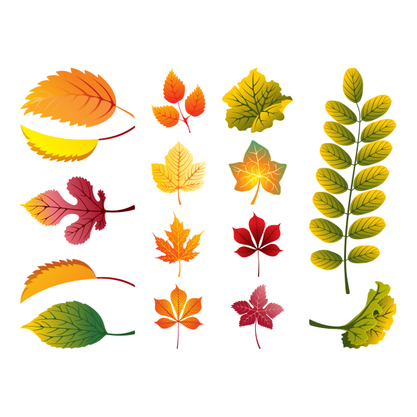 Маленькие листочки