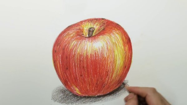 Рисунки яблока цветным карандашом