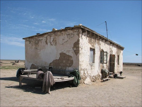 Узбекистан кишлак ферма