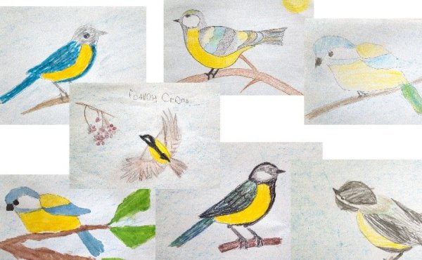 Рисование птица синица для дошкольн