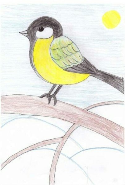 Синичка сбоку рисование