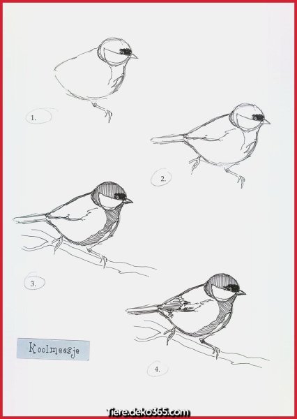 Рисуем птичку синичку поэтапно