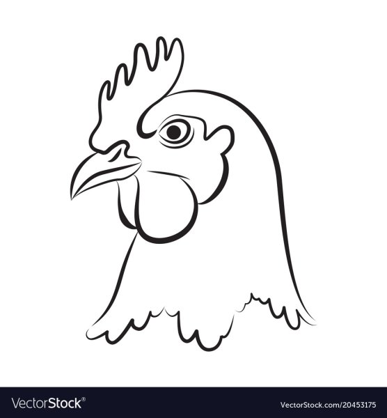 Голова петуха раскраска для детей