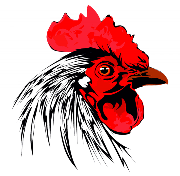 Огненный петух тату