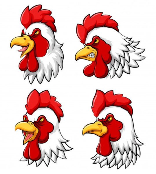 Гребень петуха вектор