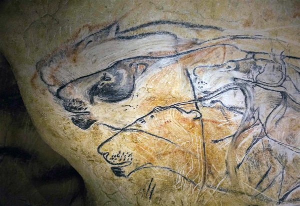 Шерстистый носорог в пещере Шове