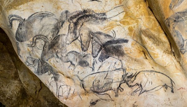 Пещера Шове Наскальная живопись
