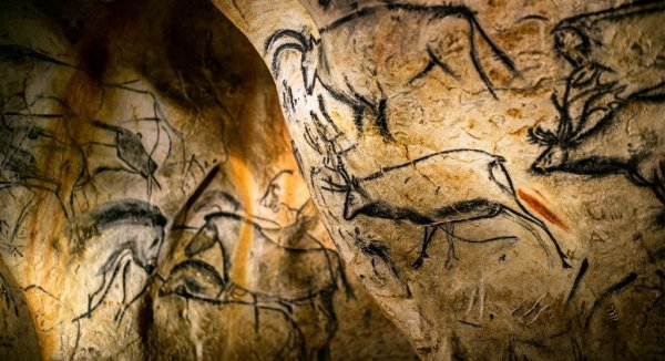 Пещерный медведь в пещере Шове