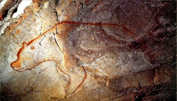 Пещера Шове Бизон