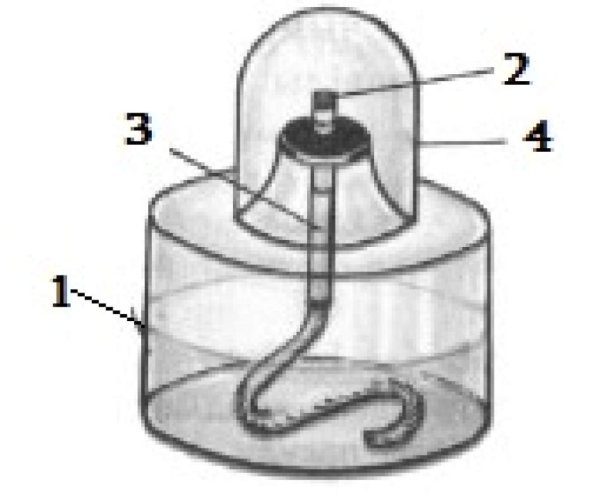 Спиртовка для химии схема