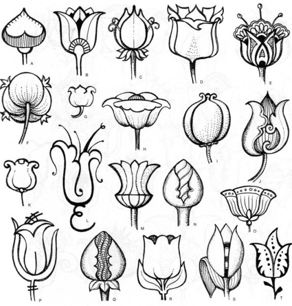 Стилизация растений